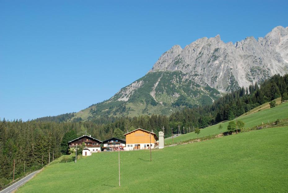 Villa Ferienbauernhof Elmaugut à Mühlbach am Hochkönig Extérieur photo